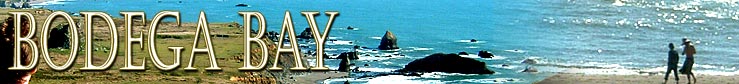 Bodega Bay